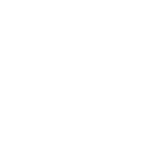 Certainly! Here are SEO-optimized attributes for your brand’s logo on vapein10min.com, crafted to boost visibility and brand authority for your Dubai-centric vape delivery business: