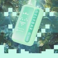 Vape device with double mint flavor on a leafy background, promoting fresh mint e-liquids.