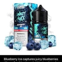 Blueberry Ice nicotine e-liquid for vaping with icy blueberry flavor and refreshing mint blast.