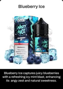 Blueberry Ice nicotine e-liquid for vaping with icy blueberry flavor and refreshing mint blast.