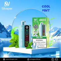 Silvaper 40K Puffs Cool Mint vape