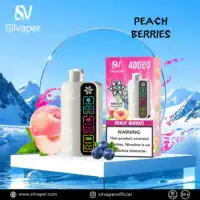Silvaper 40K Puffs Peach Berries flavor