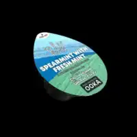 al fakher pods dubai spearmint with fresh mint